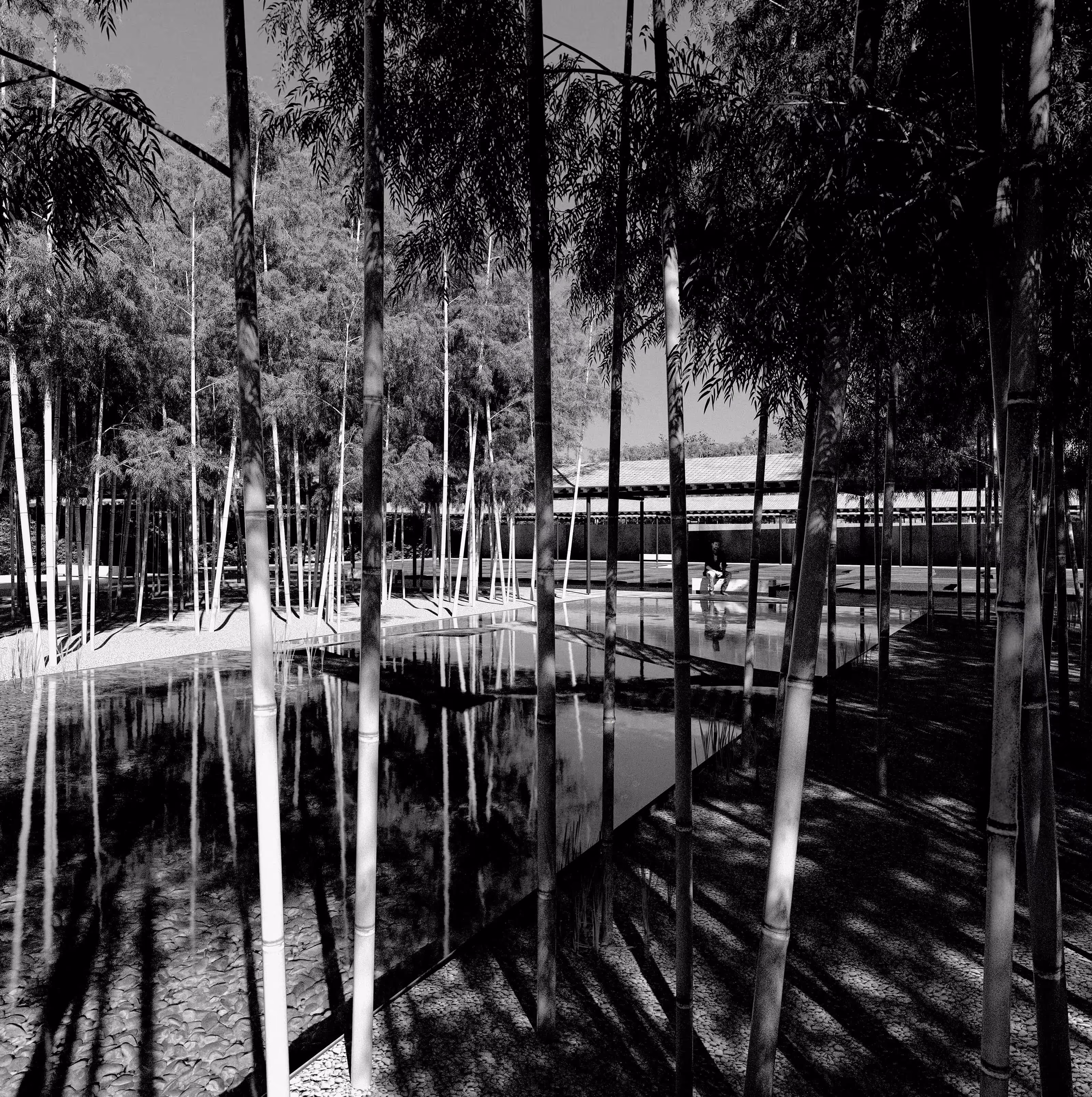 Bamboo